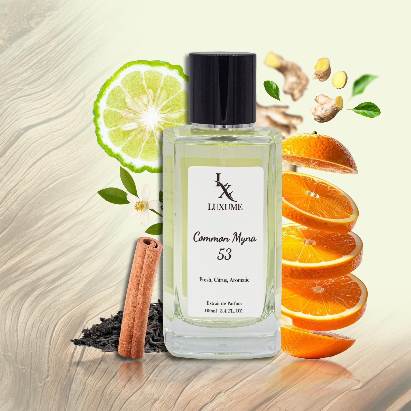 #53 Common Myna | Inspired by Imagination