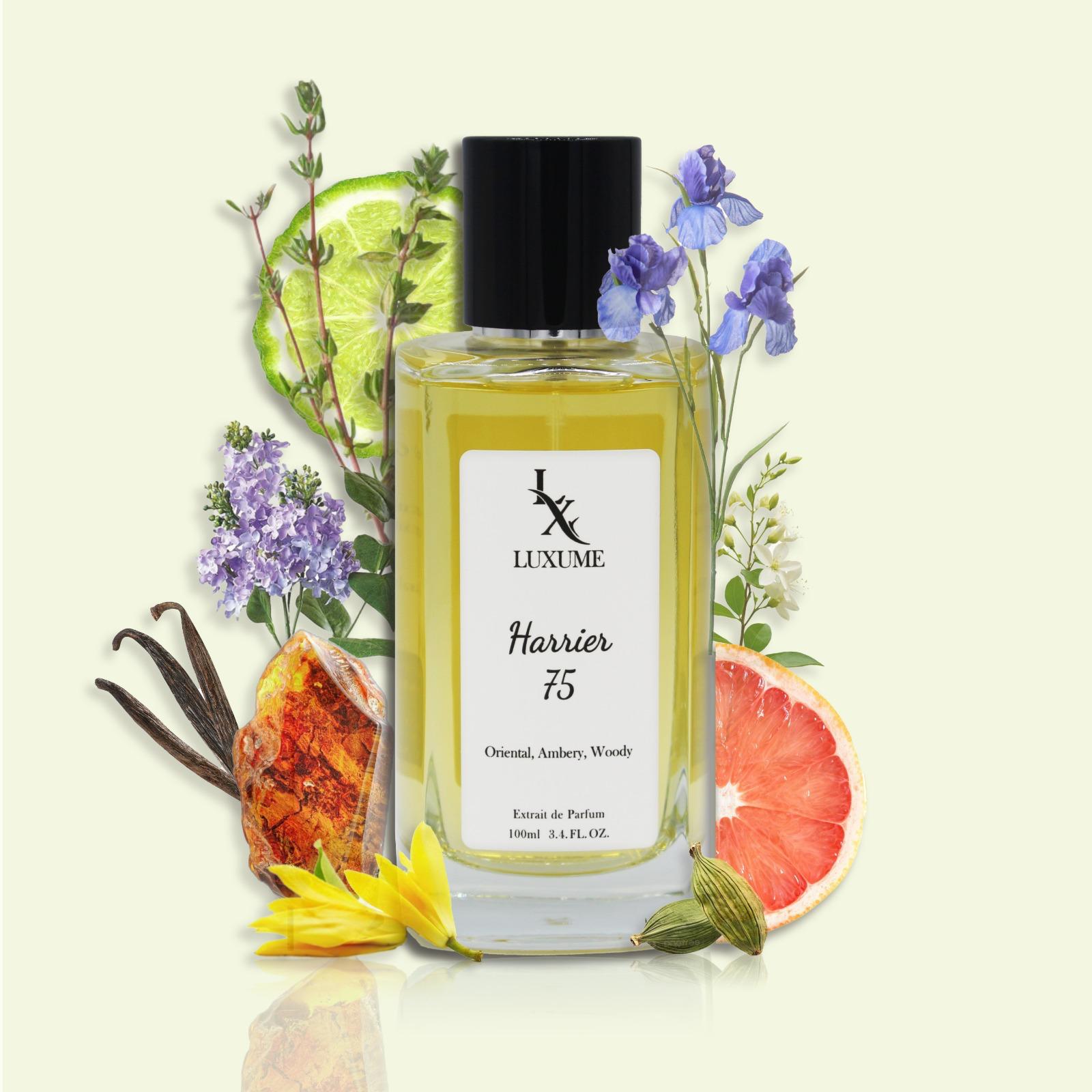 #75 Harrier | Inspired by No.1 Masculine