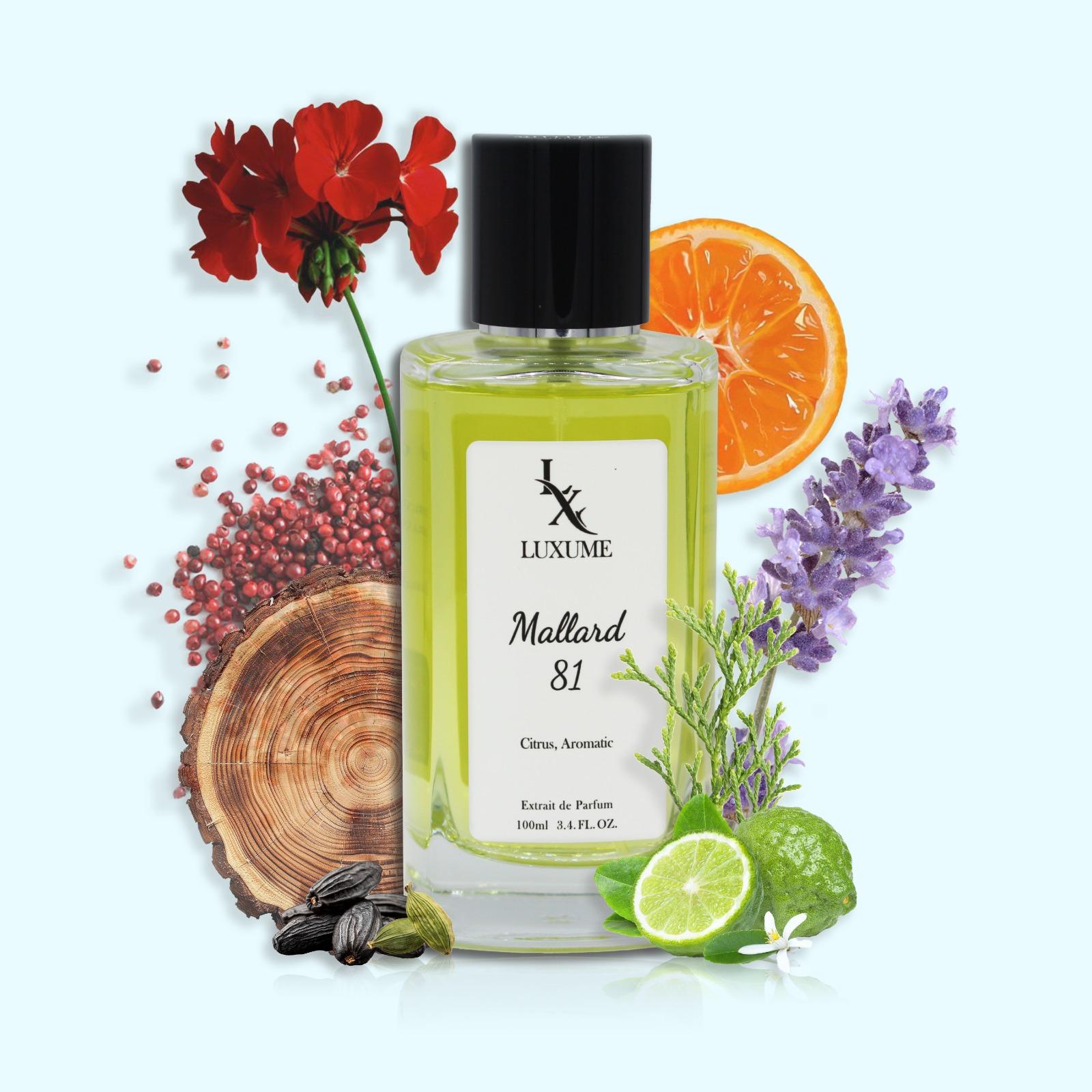 #81 Mallard | Inspired by Percival