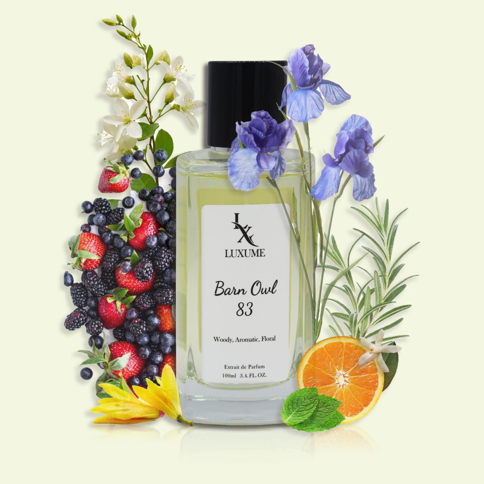 #83 Barn Owl | Inspired by Reflection Man