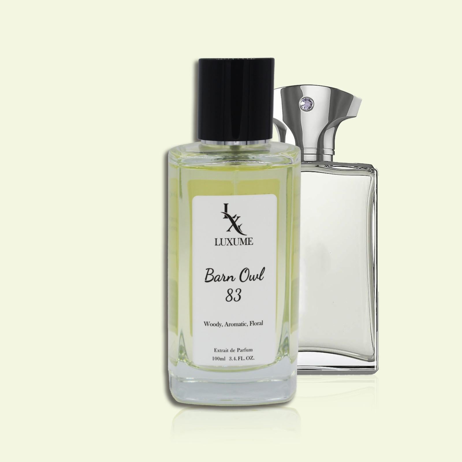 #83 Barn Owl | Inspired by Reflection Man