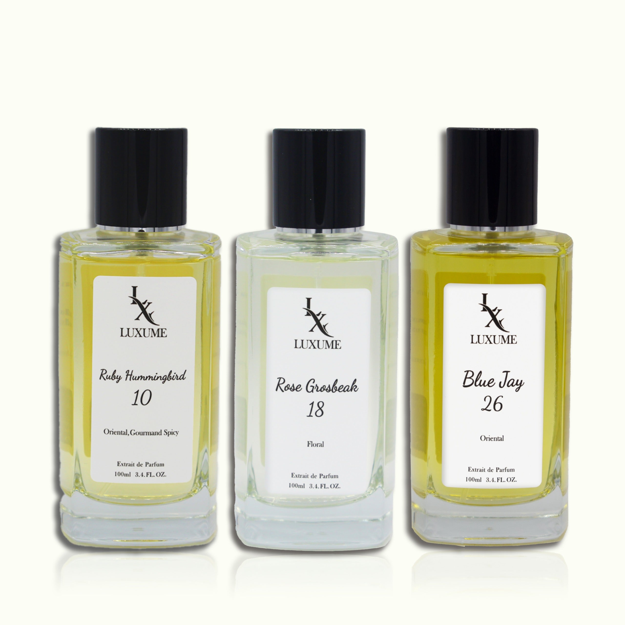 The Feminine Signature Bundle