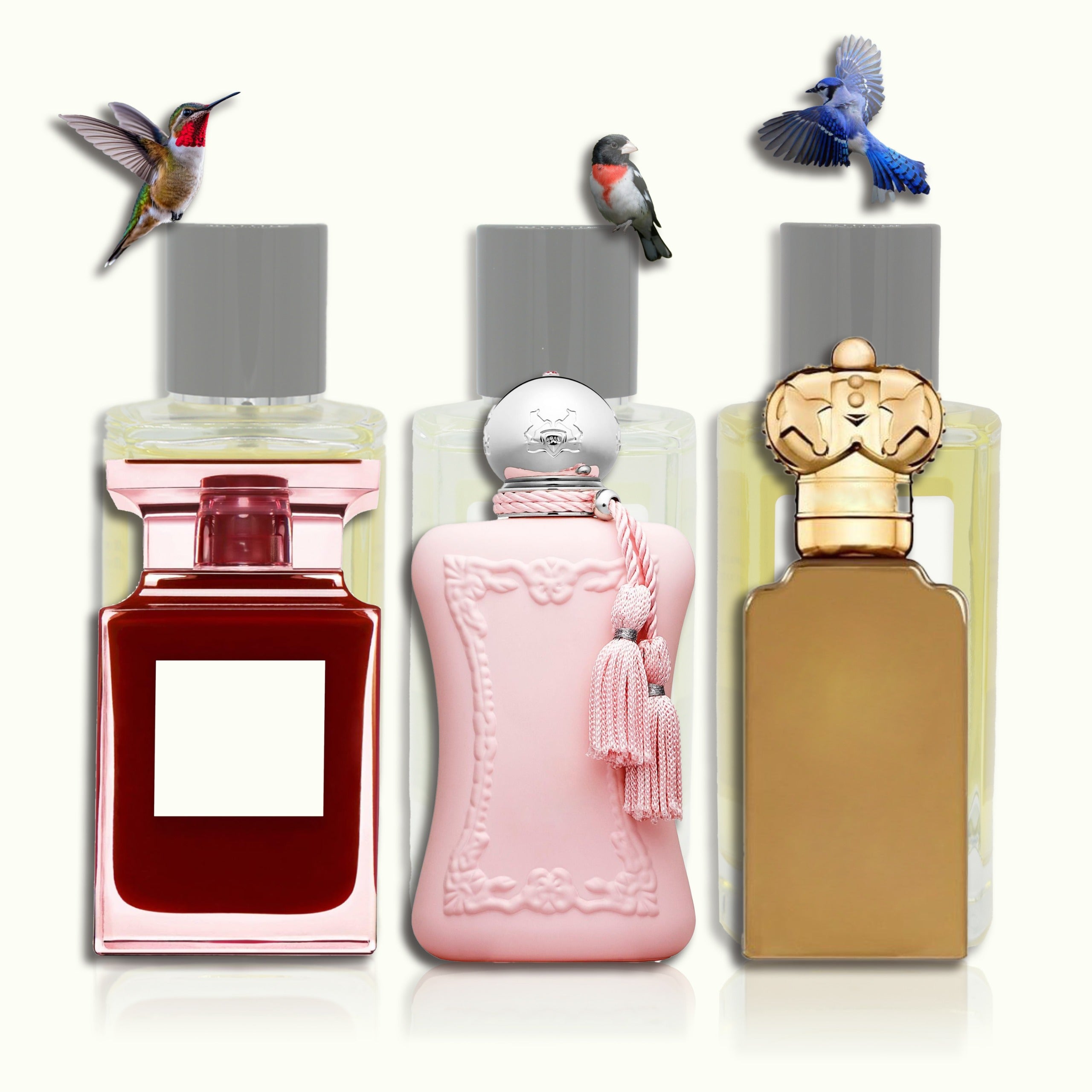 The Feminine Signature Bundle